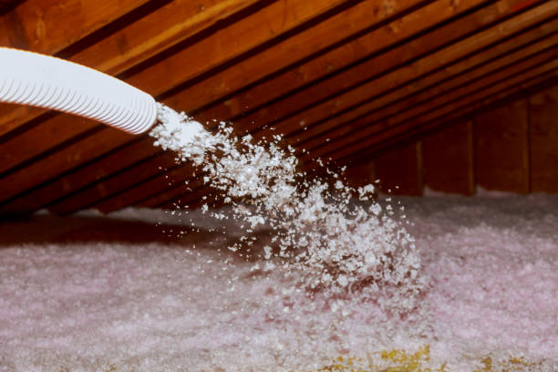 Best Insulation Inspection Services  in Sawmills, NC