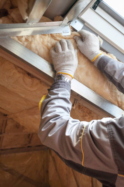 Best Fiberglass Insulation  in Sawmills, NC