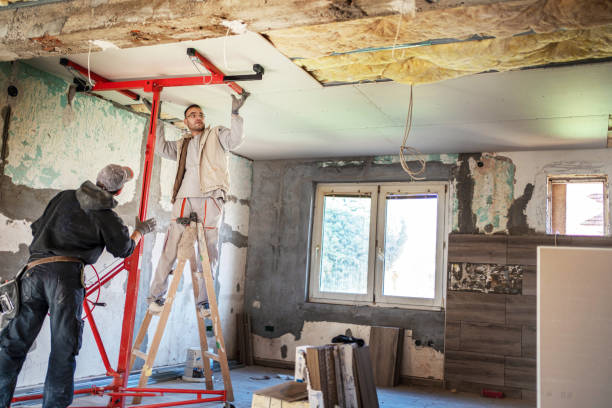 Best Cellulose Insulation  in Sawmills, NC