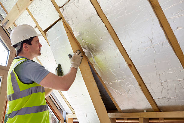 Best Insulation Replacement Services  in Sawmills, NC