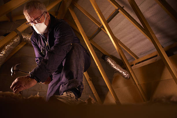 Best Insulation Contractor Near Me  in Sawmills, NC